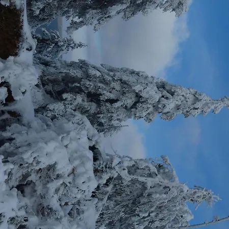 Ferienresidenz An Der Bode, 1 *