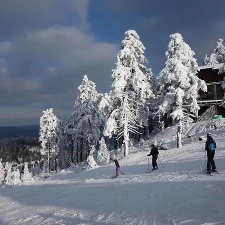 Daire Ferienresidenz An Der Bode, 1
