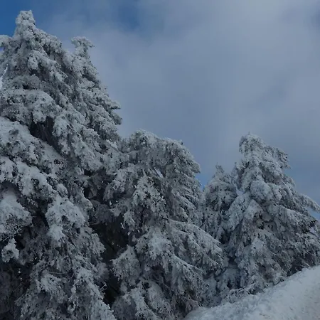 Ferienresidenz An Der Bode, 1