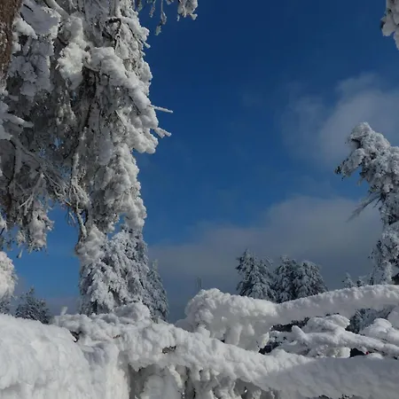 Ferienresidenz An Der Bode, 1 Daire Braunlage