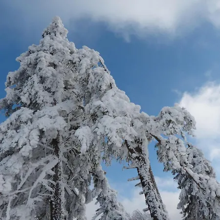 Daire Ferienresidenz An Der Bode, 1