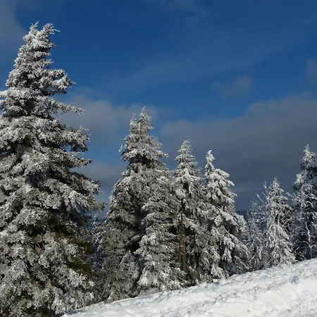 Ferienresidenz An Der Bode, 1 Braunlage