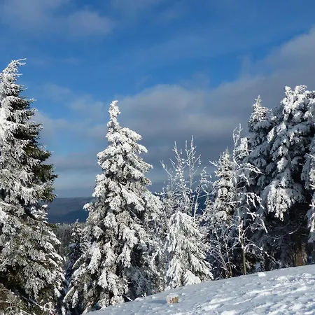 Ferienresidenz An Der Bode, 1 Daire
