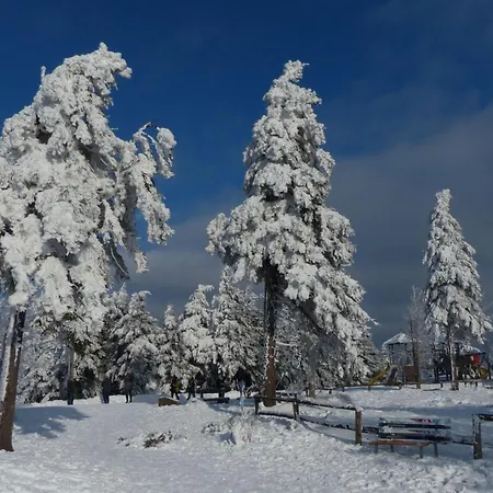 Ferienresidenz An Der Bode, 1 Daire Braunlage