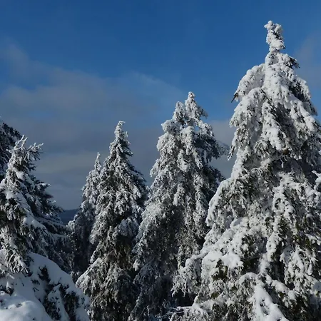 Ferienresidenz An Der Bode, 1 Daire Braunlage