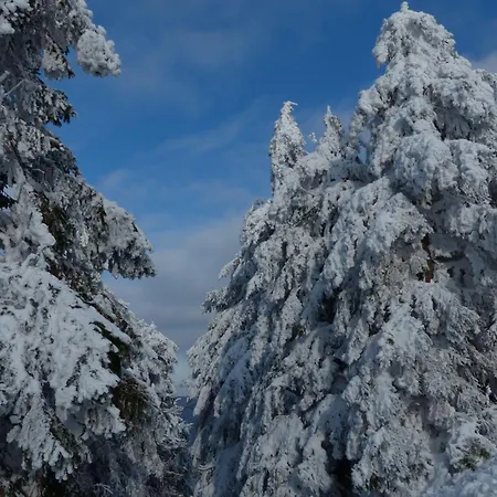 Ferienresidenz An Der Bode, 1