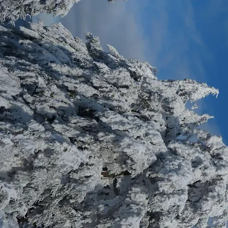 Ferienresidenz An Der Bode, 1 Braunlage