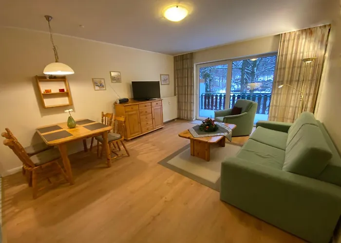 Ferienresidenz An Der Bode, 1 公寓 布劳恩拉格