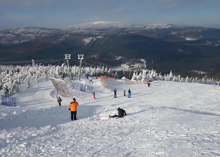 Ferienresidenz An Der Bode, 1 公寓 布劳恩拉格