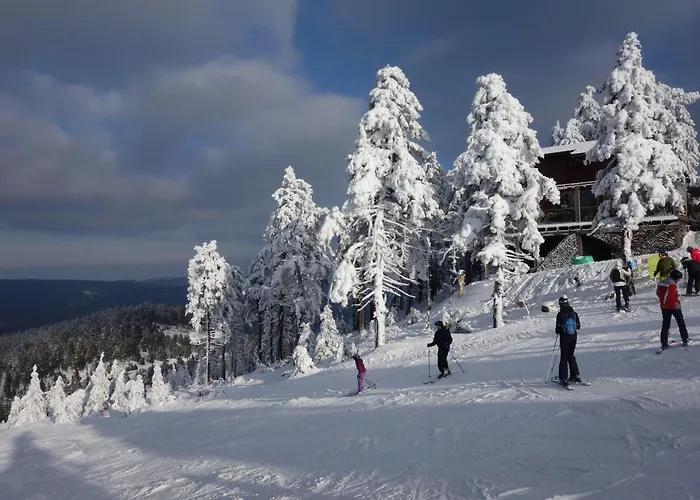 公寓 Ferienresidenz An Der Bode, 1