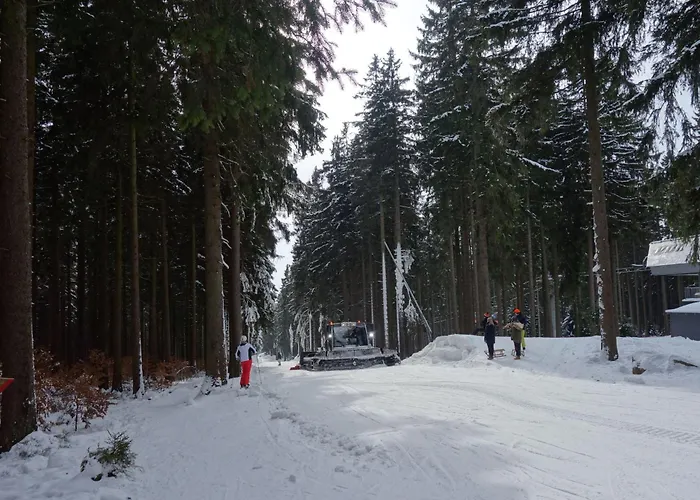 公寓 Ferienresidenz An Der Bode, 1 *