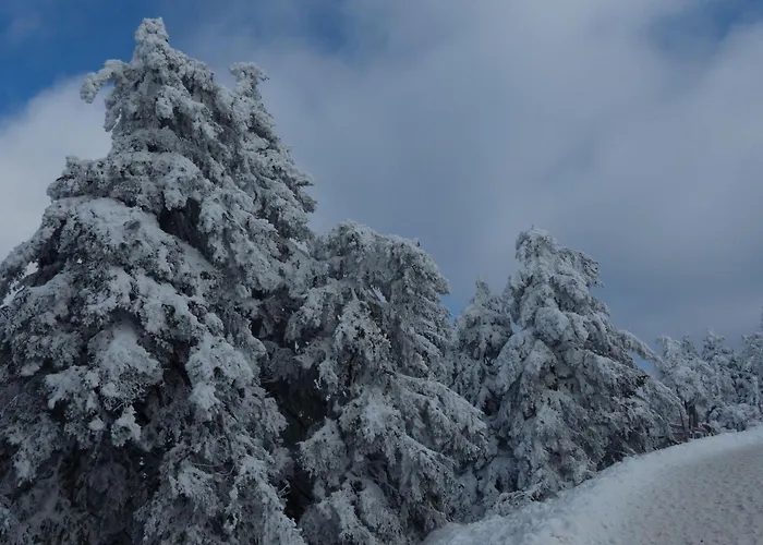 Ferienresidenz An Der Bode, 1