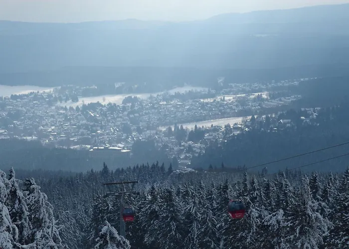 公寓 Ferienresidenz An Der Bode, 1 布劳恩拉格