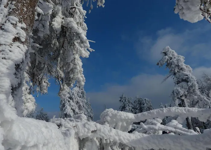 Ferienresidenz An Der Bode, 1 公寓 布劳恩拉格