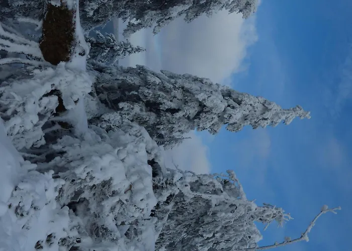 Ferienresidenz An Der Bode, 1 布劳恩拉格