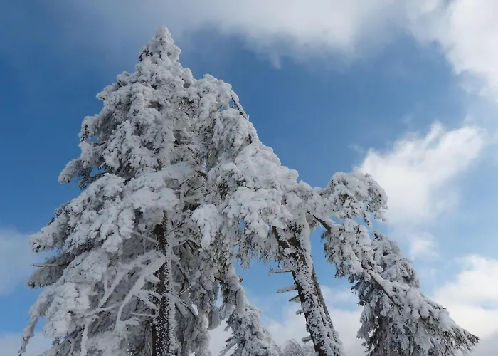 公寓 Ferienresidenz An Der Bode, 1