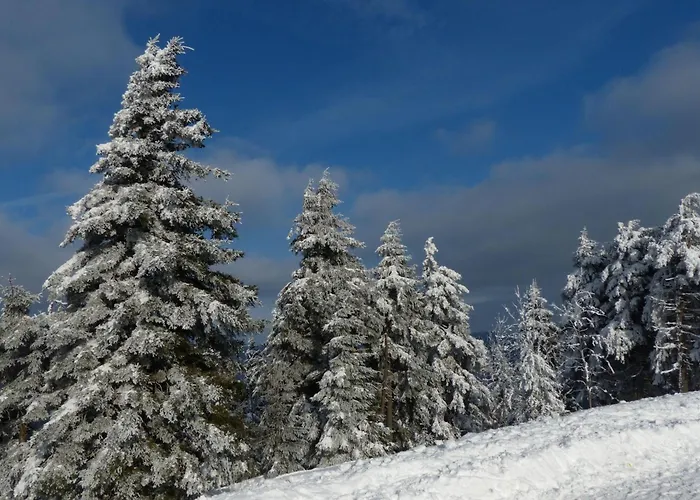 Ferienresidenz An Der Bode, 1 布劳恩拉格