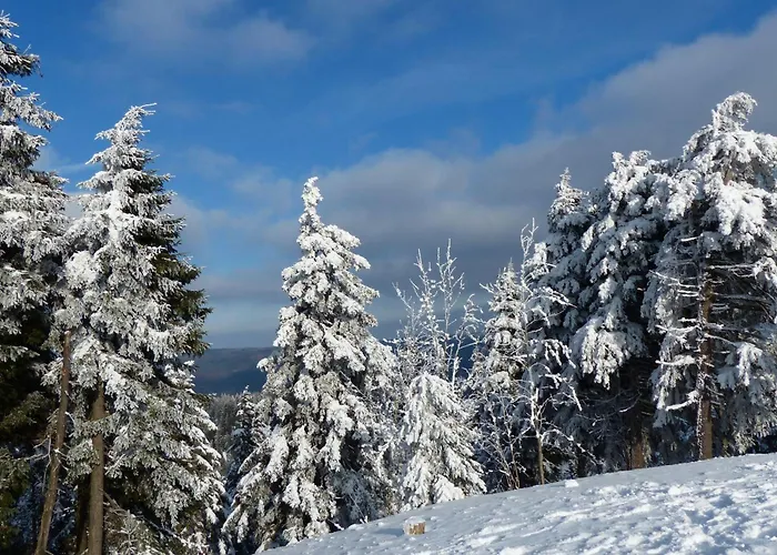 Ferienresidenz An Der Bode, 1 公寓
