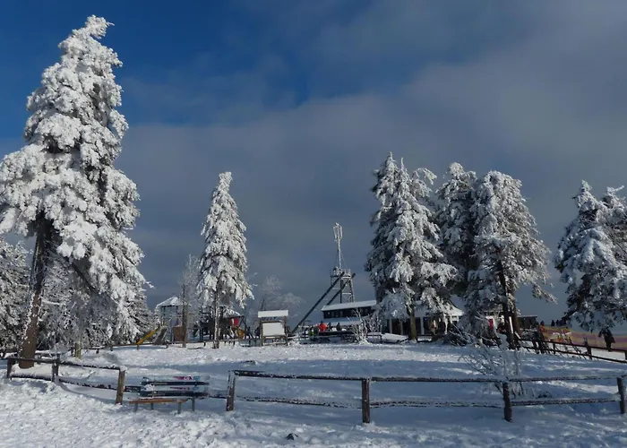 Ferienresidenz An Der Bode, 1 * 布劳恩拉格