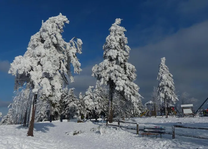 Ferienresidenz An Der Bode, 1 公寓 布劳恩拉格