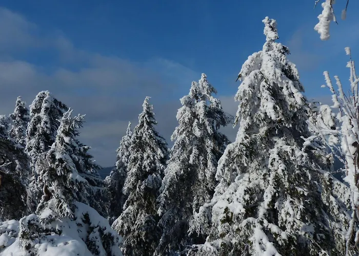 Ferienresidenz An Der Bode, 1 公寓 布劳恩拉格