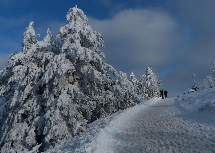 Ferienresidenz An Der Bode, 1 公寓