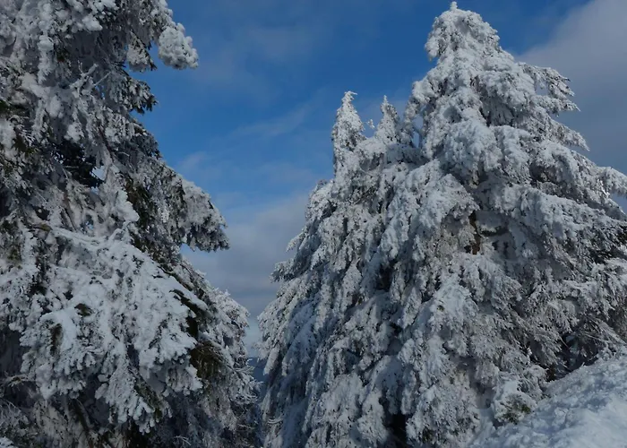 Ferienresidenz An Der Bode, 1