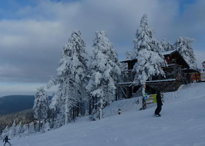 Ferienresidenz An Der Bode, 1 * 布劳恩拉格