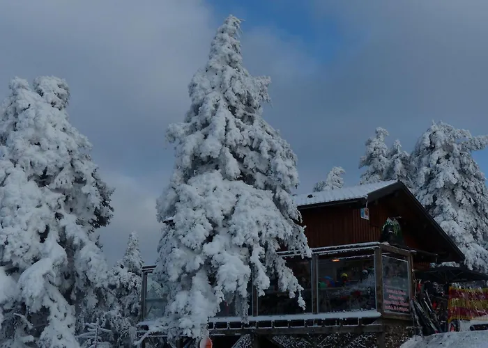 Ferienresidenz An Der Bode, 1 公寓 *